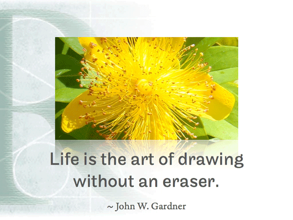 Life is the art of drawing without an eraser.  ~ John W. Gardner