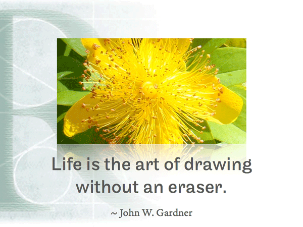 Life is the art of drawing without an eraser. ~ John W. Gardner