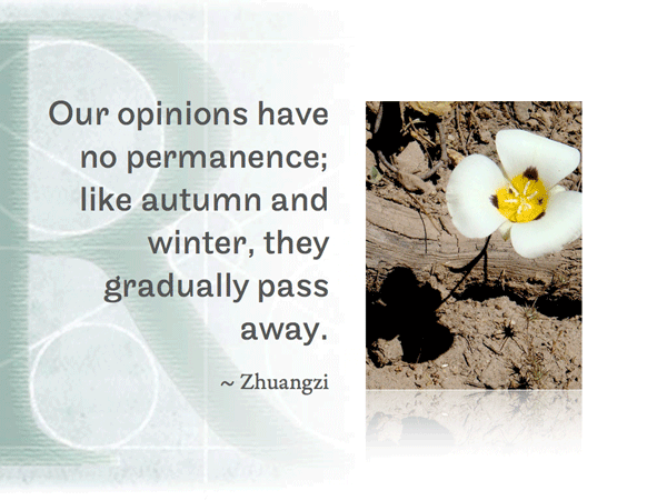 Our opinions have no permanence; like autumn and winter, they gradually pass away. ~ Zhuangzi