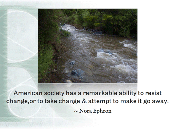 American society has a remarkable ability to resist change,or to take change & attempt to make it go away. ~ Nora Ephron