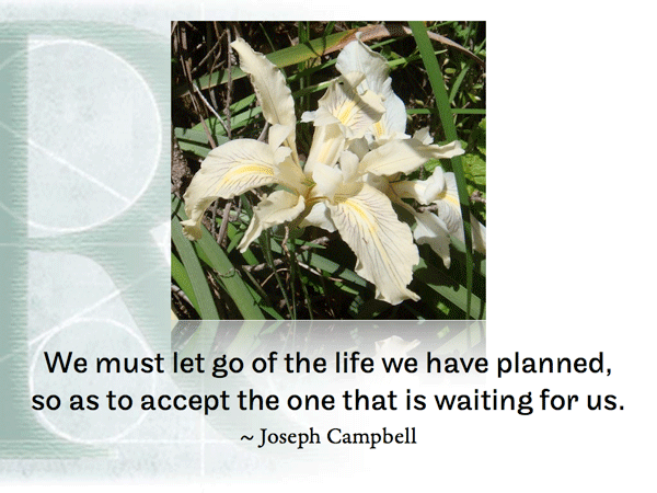 We must let go of the life we have planned, so as to accept the one that is waiting for us.  ~ Joseph Campbell