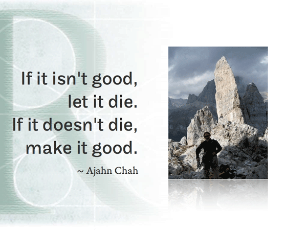 If it isn't good, let it die. If it doesn't die, make it good. ~ Ajahn Chah