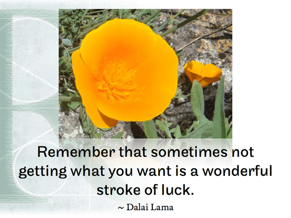 Remember that sometimes not getting what you want is a wonderful stroke of luck. ~ Dalai Lama