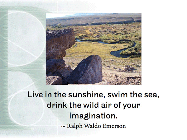Live in the sunshine, swim the sea, drink the wild air of your imagination. ~ Ralph Waldo Emerson