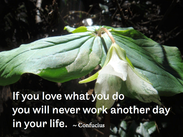 Post image for RQotD-128