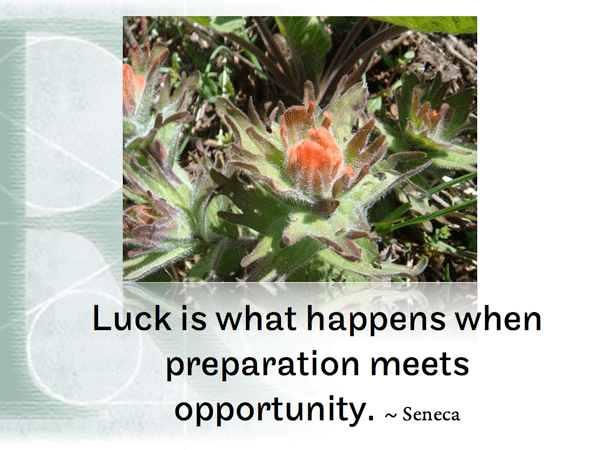 Post image for RQotD-131