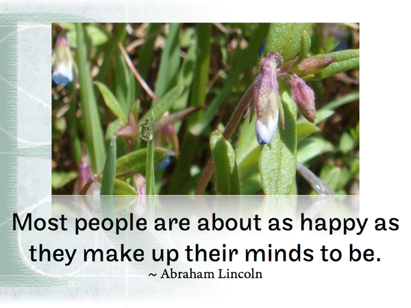 Post image for RQotD-143