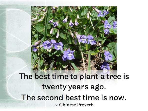 Post image for RQotD-145