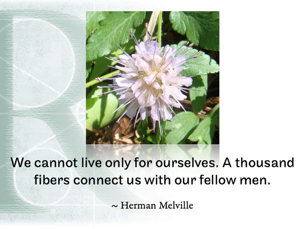 Post image for RQotD-95