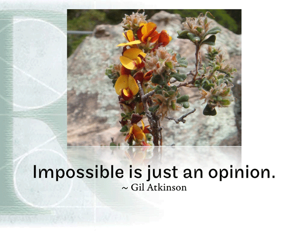 Post image for RQotD-273
