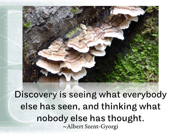 Post image for RQotD-322
