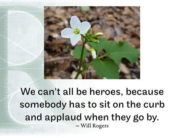 Post image for RQotD-352