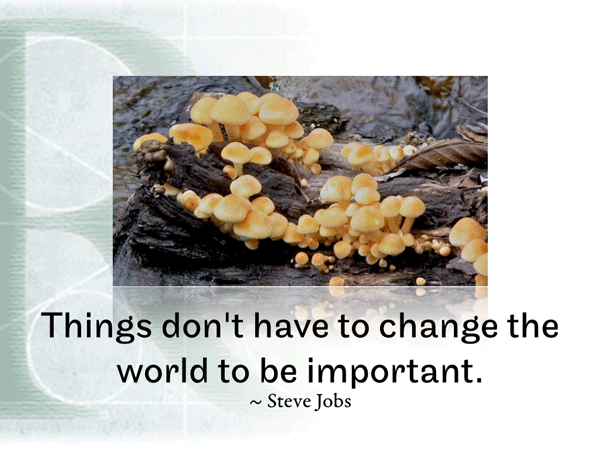 Post image for RQotD-358